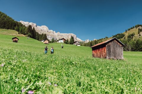 B&B Blank, location perfetta ad Arabba Immagine: Arabba, Dolomiti